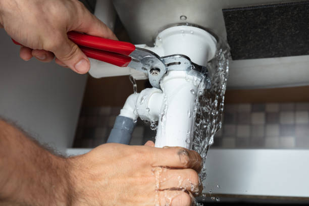 Best Carpet water damage restoration  in Doniphan, MO