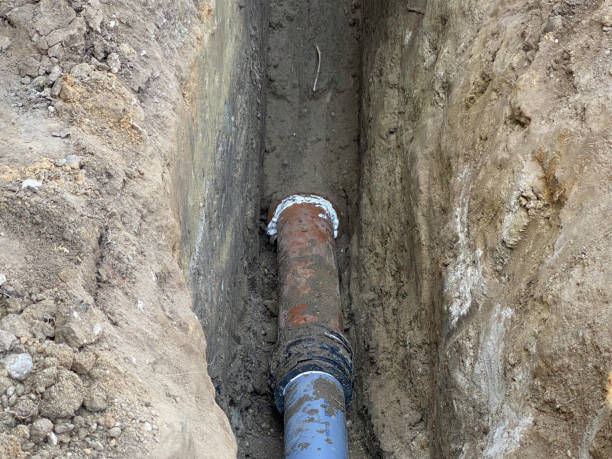 Best Basement water damage restoration  in Doniphan, MO