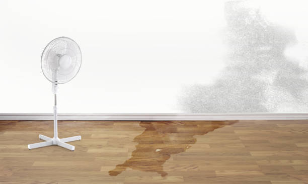 Best Flood restoration services  in Doniphan, MO