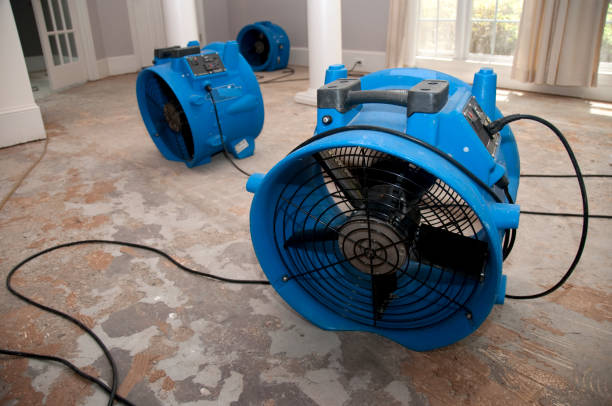 Best Fire Damage Restoration  in Doniphan, MO