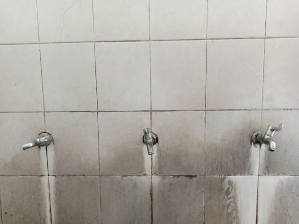 Best Water damage contractors near me  in Doniphan, MO