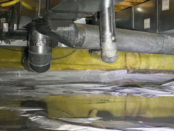 Best Mold removal after water damage  in Doniphan, MO
