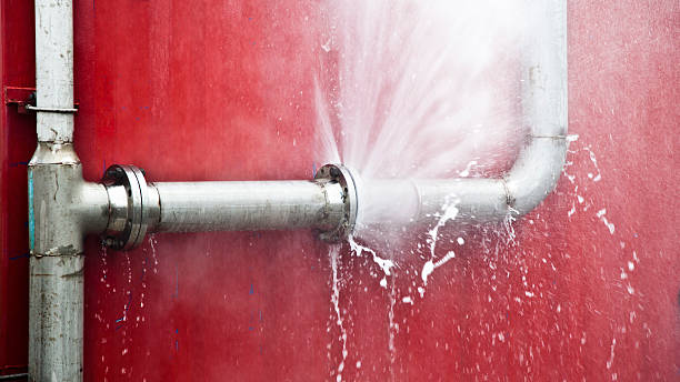  Doniphan, MO Water damage restoration Pros