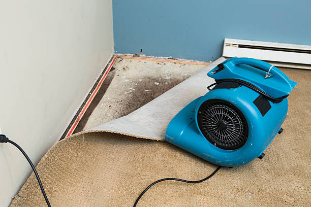 Best Water damage restoration near me  in Doniphan, MO